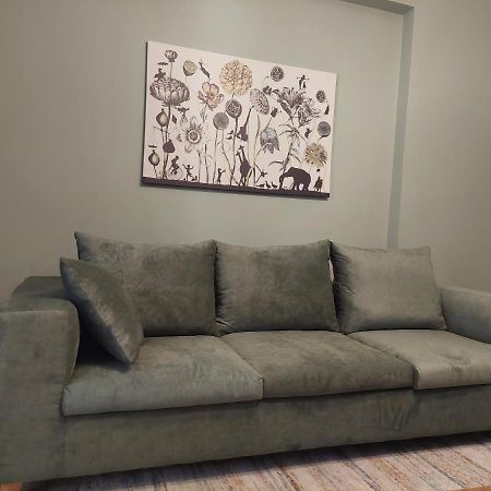 Santa Marina Apartment อิโออันนินา ภายนอก รูปภาพ